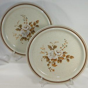 2 dinner plates. Royal Doulton UK Lambethware Ravel LS1037